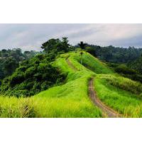 Private Tour: Campuhan Ridge Walk and Sightseeing in Ubud
