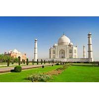 Private 7-Night Tour of Agra and Jaipur from Delhi Including Ranthambore Safari