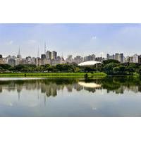 Private Tour: São Paulo City Tour