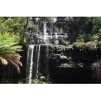 private mt field national park day trip from hobart including salmon p ...