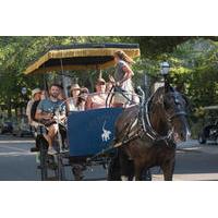 Private Historic Carriage Tour of Charleston