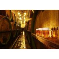 Private Tour: Brewery Pilsner Urquell from Prague