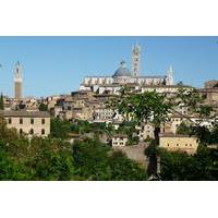 private walking tour siena and its treasures