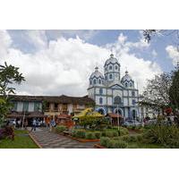 Private Tour: Towns Around Quindio Including Salento