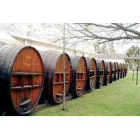 Private Maipo Valley \'Concha y Toro\' Wine Tour from Valparaiso