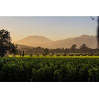 Private Wine Country Tour from San Francisco