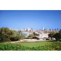 private tour old port of jaffa tel aviv city and nalagaat center