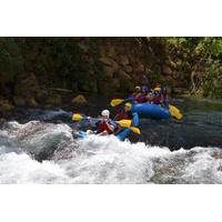 private rio bueno river adventure from montego bay