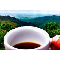 Private Tour: Coffee In the Mountains from Armenia