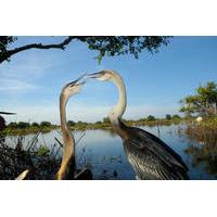 Prek Toal Biosphere Reserve Tour from Siem Reap