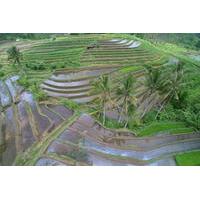 Private Tour: Discover Northern Bali Day Tour
