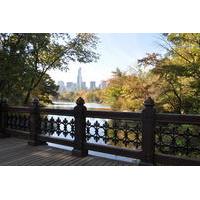 private walking tour of central park