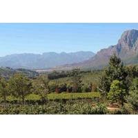 private full day winelands tour from cape town