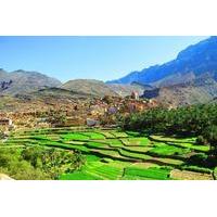 Private or Group Full Day Tour to Nakhal and Wadi Bani Auff From Muscat