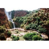 Private Guided Day Trip to Ouzoud Waterfalls from Marrakech