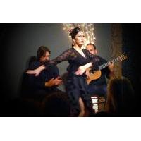 Private Valencia City Tour by Bus with Tapas and Flamenco Show