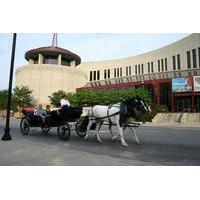 Private Downtown Nashville Carriage Tour