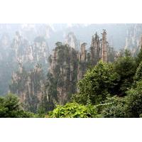 Private Tour of Zhangjiajie National Forest Park, Wulingyuan Scenic, and Historic Interest Area of Zhangjiajie