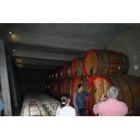 Private Wine Tour in ValparaÃso
