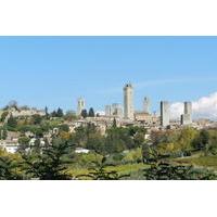 Private Walking Tour - San Gimignano and its Towers