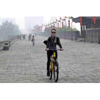 Private One Day Xi\'an Walking and Biking Tour Including Lunch