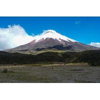 Private Full-Day Tour to Cotopaxi from Quito