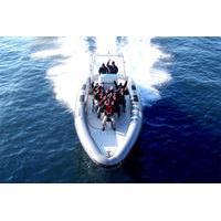 private 1 hour helsinki archipelago high speed boat cruise