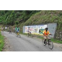Private Bike Tour of Jamaica\'s Blue Mountains from Negril and Grand Palladium