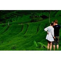 Private Tour: East to the North of Bali