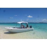 private half day nassau snorkel and sightseeing cruise