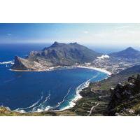 Private Highlights of the Cape Tour in Cape Town