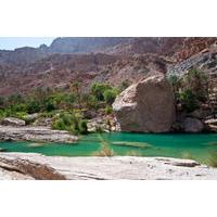 Private 4x4 Wadi Safari - An Encounter with Nature