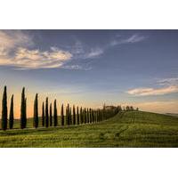 Private Tour: Medieval Val d\'Orcia by Minivan from Florence