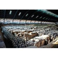 private half day tour of xian terracotta warriors