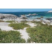Private 3- Day Cape Town Highlights Tour