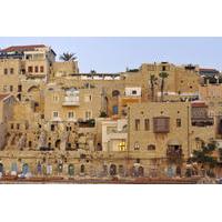 Private Tour: Old Port of Jaffa, Tel Aviv and Nalagaat Center Day Trip from Jerusalem
