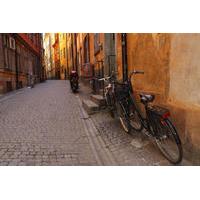 private tour stockholm bike tour including kungsholmen lngholmen and s ...
