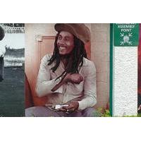 Private Full-Day Bob Marley Excursion from Montego Bay and Grand Palladium