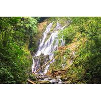 Private Day Trip to El Valle de ...