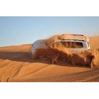Private Full-Day Tour to Aquaventure, The Palm and a Desert Safari Adventure Including Buffet Lunch and Dinner