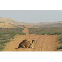 Private Group Full Day Tour: 4x4 Wahibah Desert and Wadi Bani Khalid from Muscat