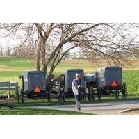 private driving tour of lancaster and amish country