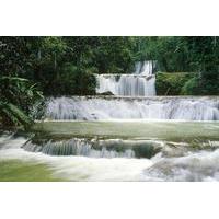 Private YS Falls Tour from Negril