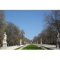 Private Guided Half Day City Tour in Madrid with Public Transportation