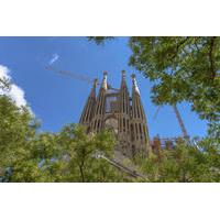 Priority Access: Barcelona Sagrada Familia Tour Including Tower Entry