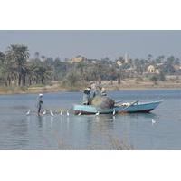 Private Day Tour to Fayoum and Wadi El Rayan from Cairo