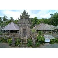 Private Full Day Tour of Bali