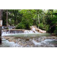 Private Tour to Dunn\'s River Falls