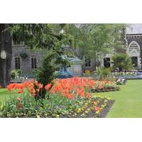 Private Tour: Walking Tour of Christchurch