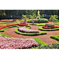 Private Peterhof Tour from St Pe...